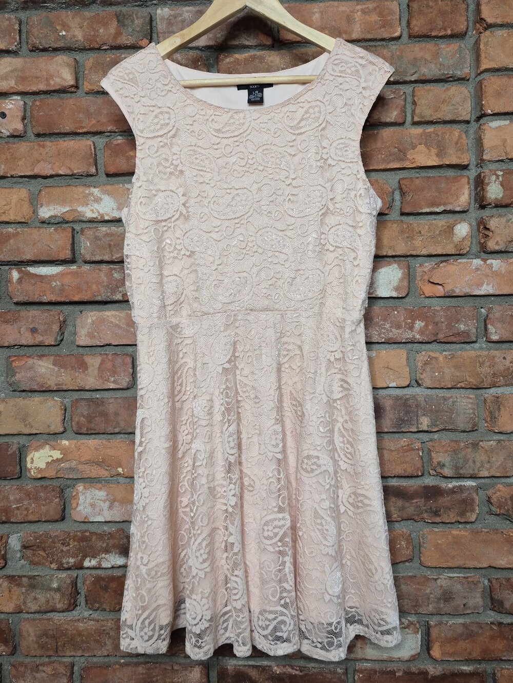 Streetwear Society Blush Pink Lace Paisley Fit & Flare Dress L